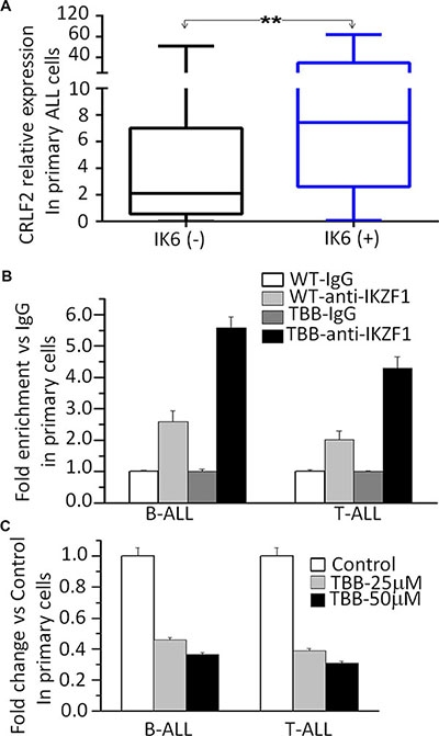 IKZF1 binds to the CRLF2 promoters and IKZF1 deletion results in changes of its expression in primary ALL cells.