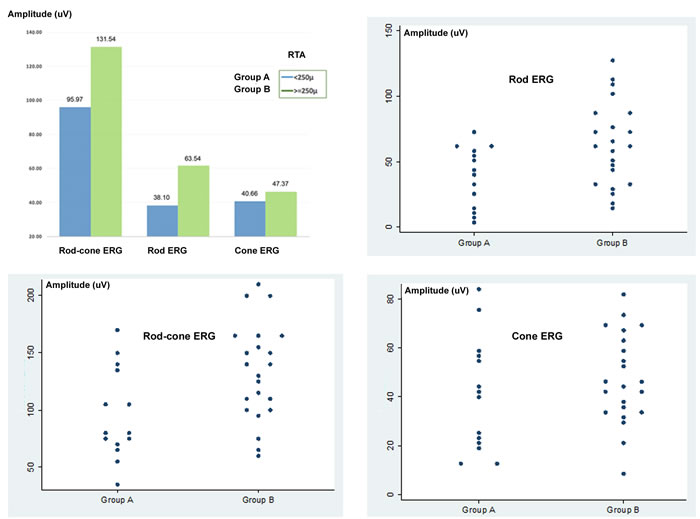 Electroretinogram (ERG) and retinal thickness average (RTA) in dry age-related macular degeneration (AMD) at time 0 (T0).