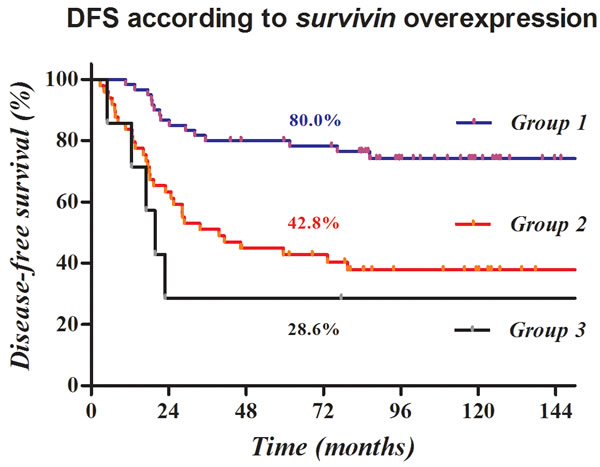 Kaplan-Meier survival curves according to a prognostic model based on survivin overexpression.