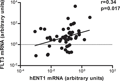 Correlation between hENT1 and FLT3 mRNA expression in pediatric leukemia samples.