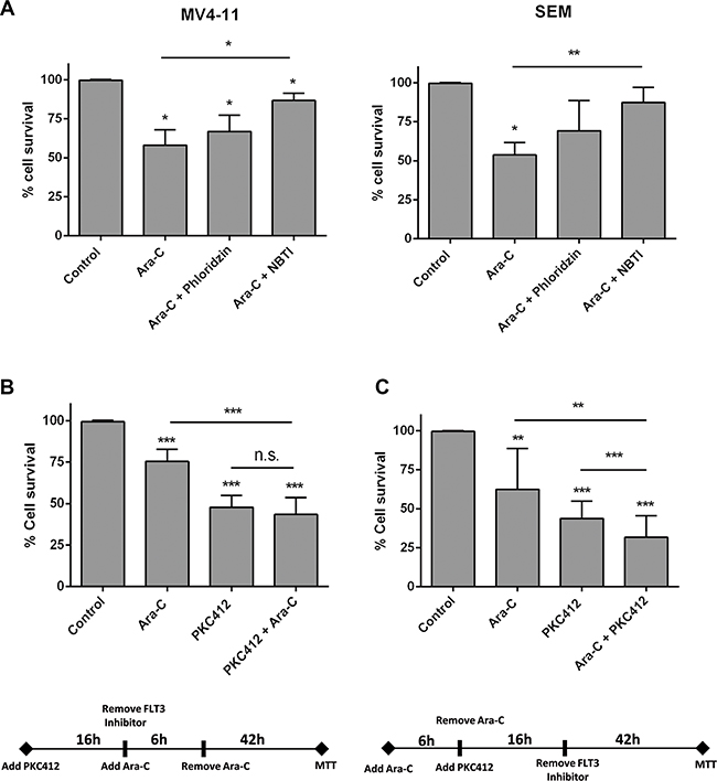 Effect of FLT3 inhibition in the cytotoxicity induced by Ara-C.