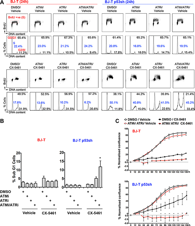 Combination treatment of ATM and ATR inhibitors with CX-5461 induces cell death in the absence of p53.