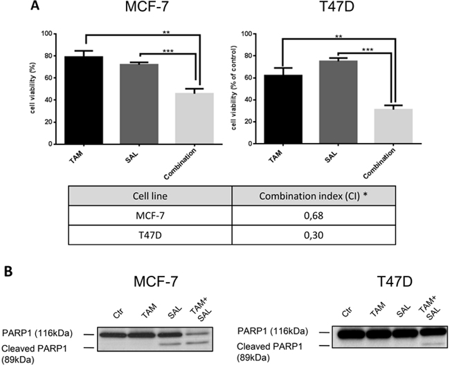 Cytotoxicity of combined treatment with tamoxifen and salinomycin.