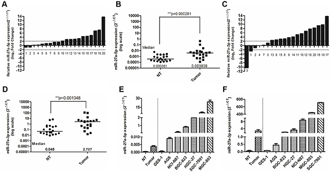 miR-27a-3p and miR-27a-5p are overexpressed in GC tissues and cell lines.