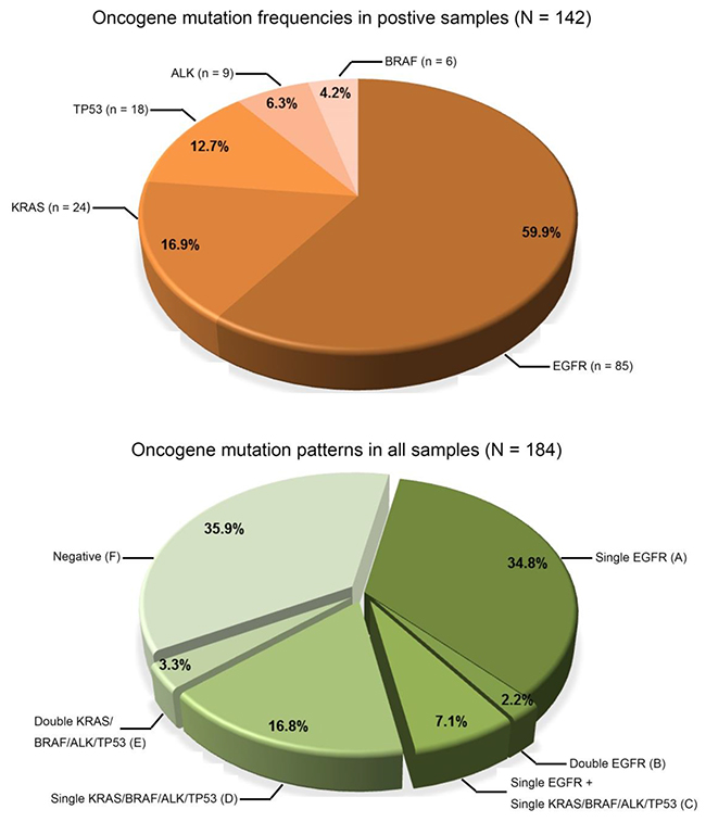 Spectrum of oncogenic mutations.