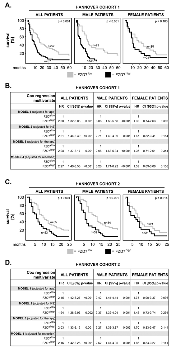 FZD7 in primary GBM: impact on patients&#x2019; overall survival and sex differences.