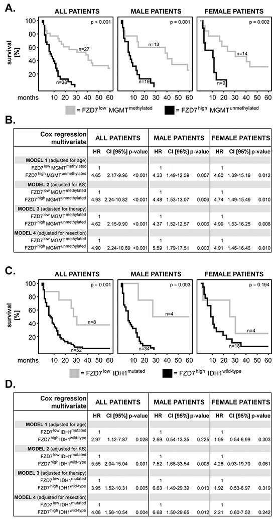 Combination of FZD7 with MGMT or IDH1: impact on patients&#x2019; overall survival and sex differences.