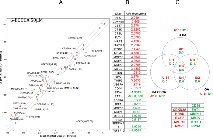 Gene array analysis of the expression of genes related to tumor metastasis in MKN45 cells exposed to selective and non-selective GPBAr1 ligands.