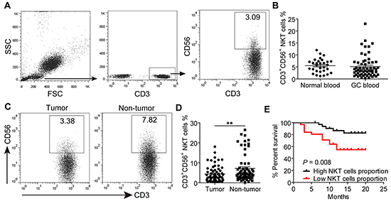 The prevalence of CD3&#x002B;CD56&#x002B; NKT-like cells in peripheral blood, non-tumor and tumor tissues of GC patients.