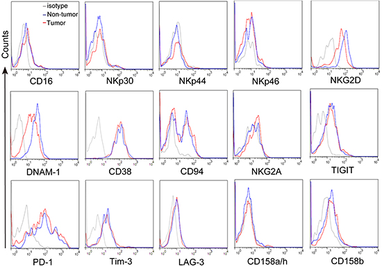 The expression of NK-cell-associated activating and inhibitory receptors on CD3&#x002B;CD56&#x002B; NKT-like cells.