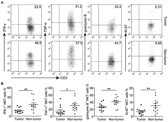 The effector functions of tumor and non-tumor-infiltrating CD3&#x002B;CD56&#x002B; NKT-like cells in GC patients.