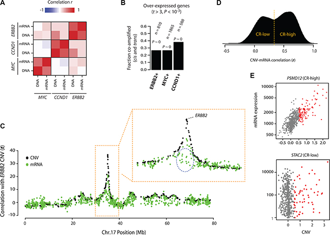 Patterns of onco-passenger gene expression.