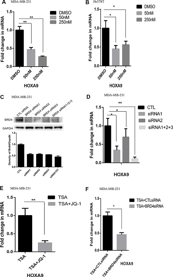 Reduced expression of HOXA9 by inhibition of BRD4.