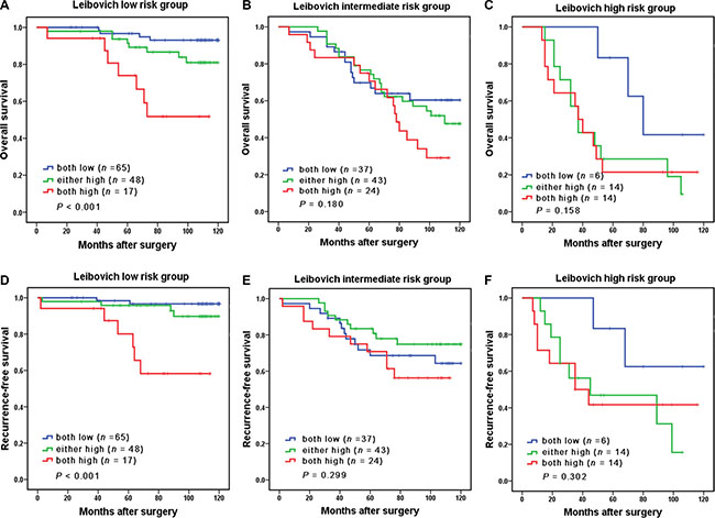 Subgroup analysis to assess prognostic value of CCL2/CCR2 signature in non-metastatic ccRCC patients.