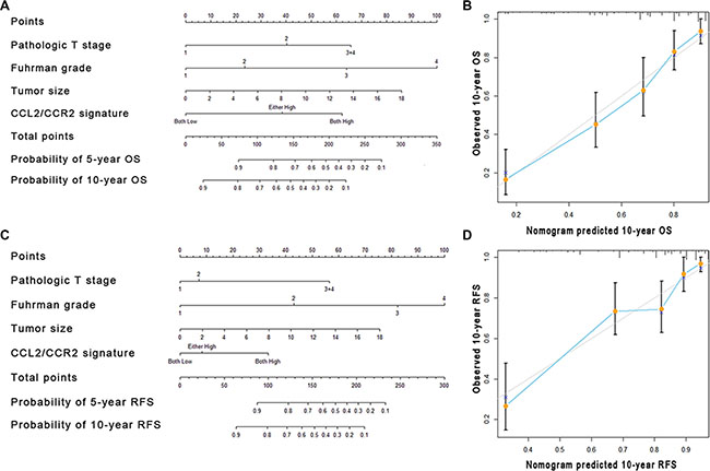 Nomogram and calibration plots for the prediction of outcome in patients with non-metastatic ccRCC.