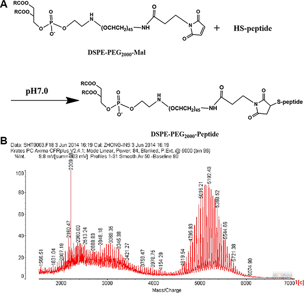 Synthesis schemes of DSPE-PEG2000-Peptide (A) and its MALDI-TOF MS (B).