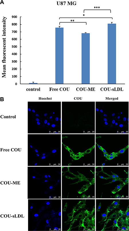 Uptake of COU by U87 MG cells determined by flow cytometric analysis (A) and by confocal (B).