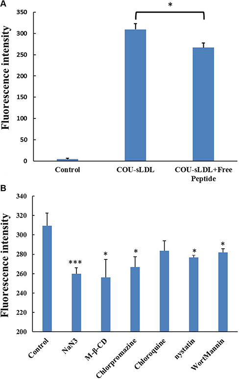 Receptor block experiment (A) and the uptake mechanism (B) of U87 MG cells.