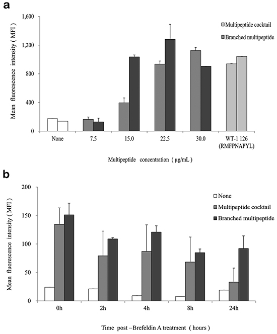 HLA-A02 binding affinity and stability of the multipeptide cocktail and branched multipeptide.