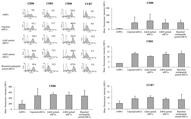 Immunophenotype of DCs pulsed with multipeptides for the cell surface markers (CD80, CD83, CD86, CCR7).