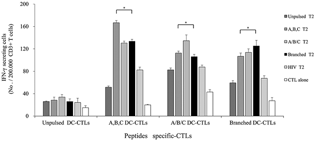 IFN-&#x03B3; ELISPOT assay of multipeptide-specific CTLs against multipeptide-pulsed T2 cells.