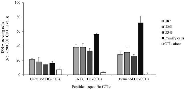 IFN-&#x03B3; ELISPOT assay of multipeptide-specific CTLs against glioblastoma cell lines and primary glioblastoma cells.