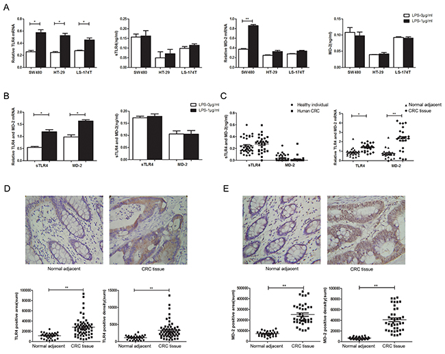 TLR4 and MD-2 expression and its association with the clinic pathological characteristics of CRC patients.
