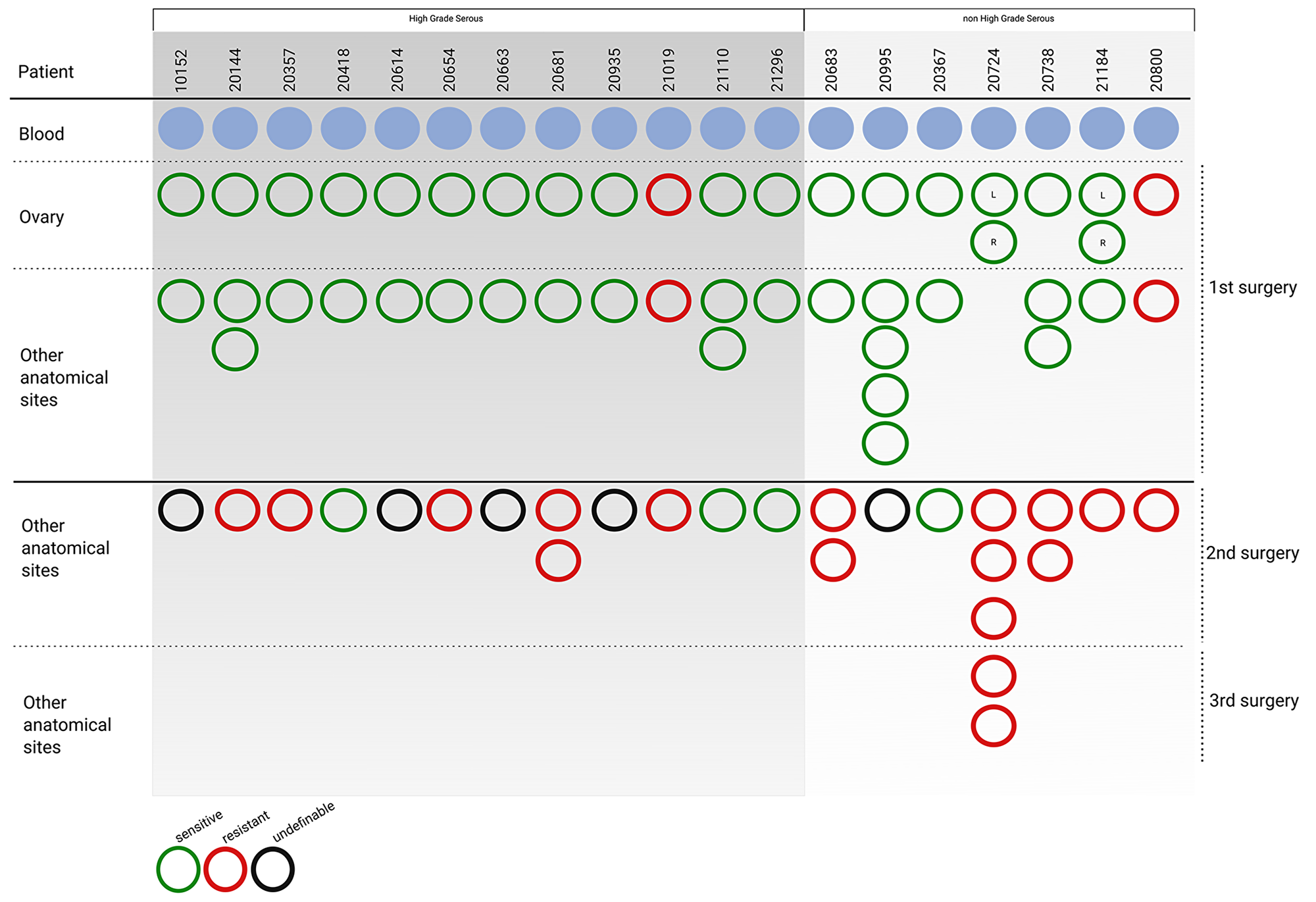 Patient cohort enrolled in the study.