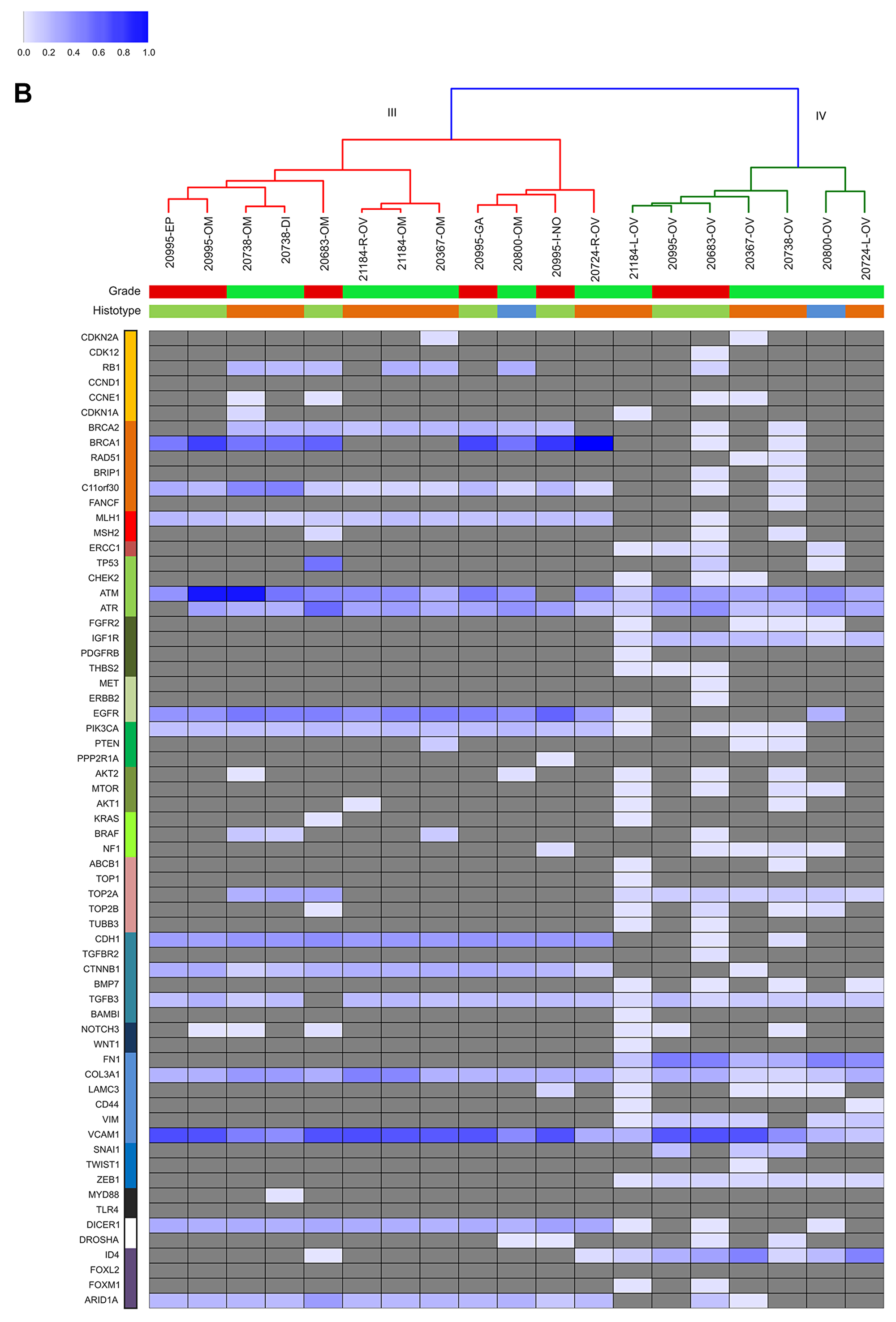 Figure 3B: Unsupervised cluster analysis.