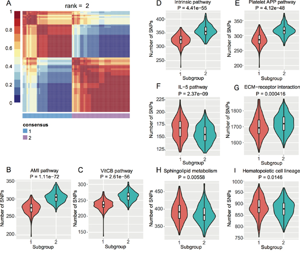 NMF-based subgroups of EC GWAS cohort.