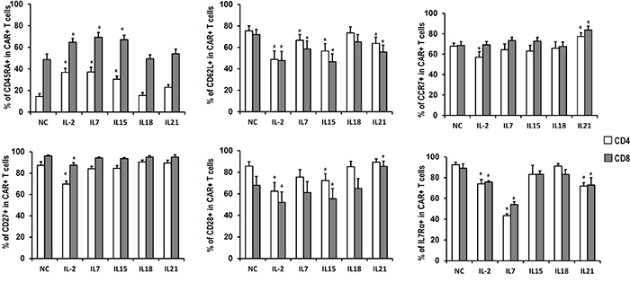 Phenotype of CART cells exposed to different cytokines.