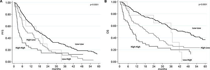 Progression-free survival (PFS) and overall survival (OS) according to SII risk group.