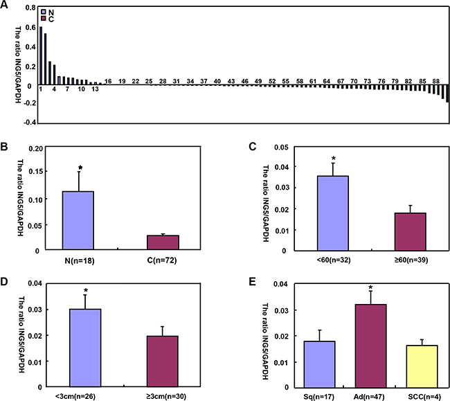 The correlation of ING5 mRNA expression with clinicopathological features of lung cancers.