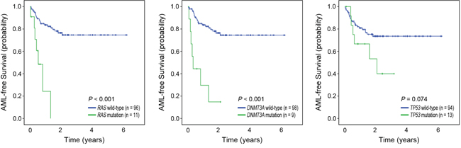 Kaplan-Meier curves for AML-free survival by mutation status.