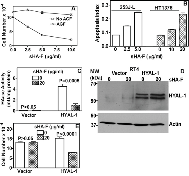 Effect of sHA-F on HAase activity, growth and apoptosis and its attenuation by AGF.