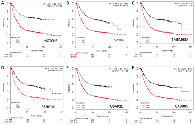 Kaplan-Meier survival curves for gastric cancer patients according to tumor expression of top rank 6 genes are presented.