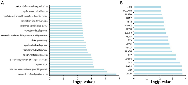 Functional annotation analysis of 249 genes using the Database for Annotation, Visualization and Integrated Discovery (DAVID).