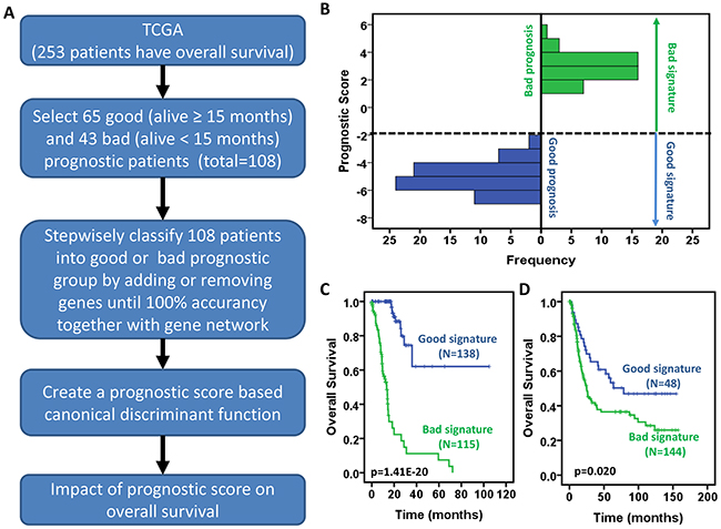 Development of a prognostic scoring system for gastric cancer patients.