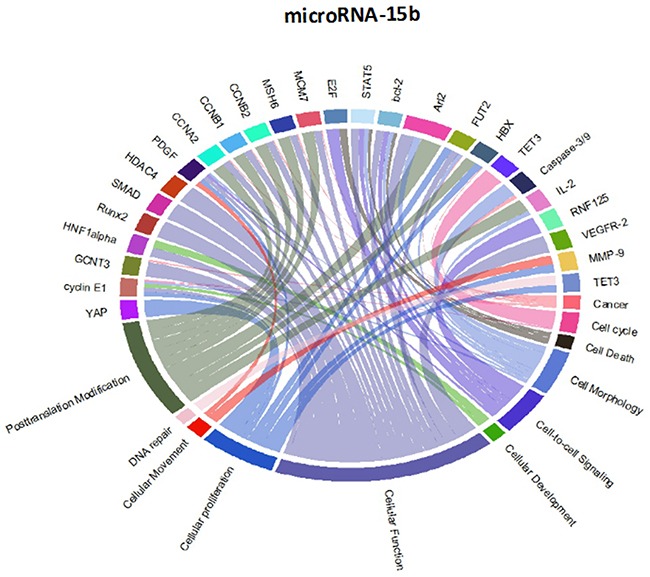 Circos plots of the metagenomic regulatory networks predicted to be targeted by the seven-miRNA classifier (miR-7, miR-15b, miR-21, miR-124a, miR-129, miR-139 and miR-218.