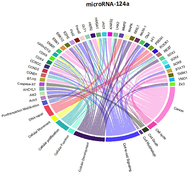 Circos plots of the metagenomic regulatory networks predicted to be targeted by the seven-miRNA classifier (miR-7, miR-15b, miR-21, miR-124a, miR-129, miR-139 and miR-218.