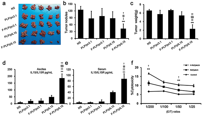 In vivo antitumor effect of F-PLP/pIL15 and pIL15 expression.