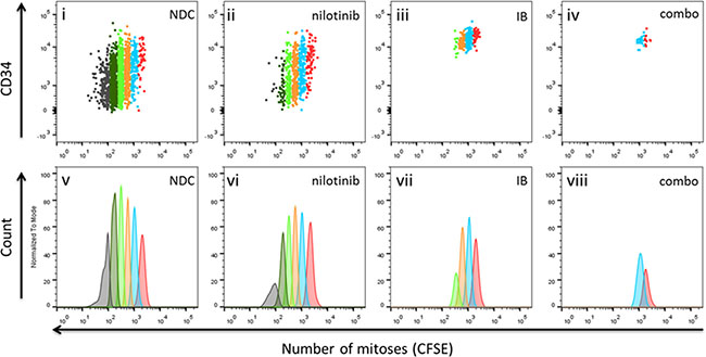 Cell division tracking of primary CML-CP cells treated in vitro with imipramine blue (IB) alone or in combination with nilotinib.