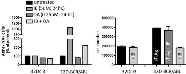 PP2A mediates the pro-apoptotic activity of imipramine blue (IB) in 32Dcl3 and 32D-BCR-ABL1 cells.