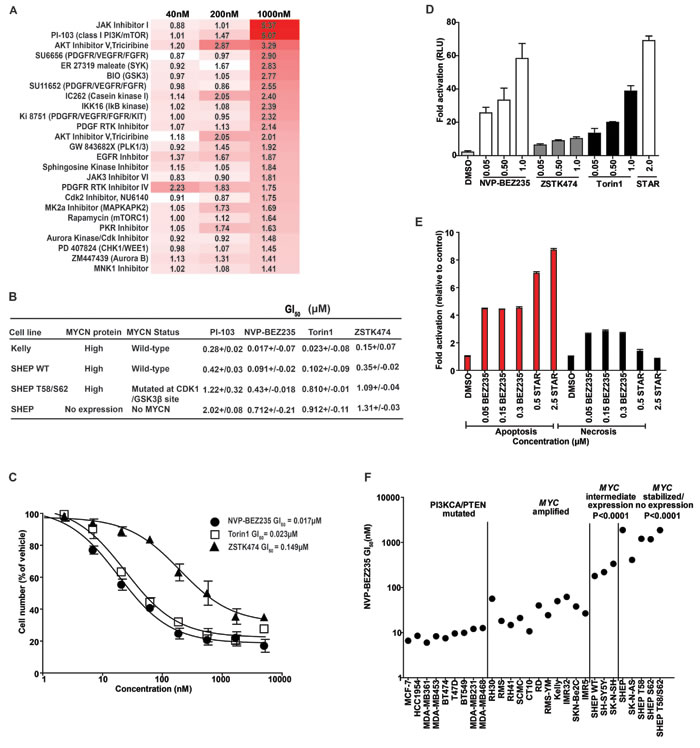 Identification of PI3K/mTOR inhibitors that selectively target MYCN-expressing tumor cells.