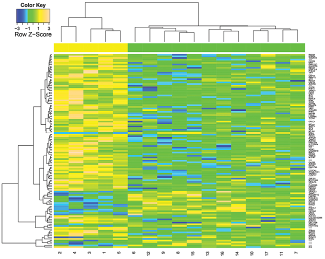 Hierarchical clustering of 119 differentially expressed genes (P&#x003C;0.005) between PsP and TTP groups.