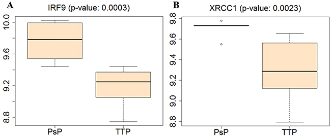Boxplot of gene expressions for IRF9 and XRCC1 in PsP and TTP groups