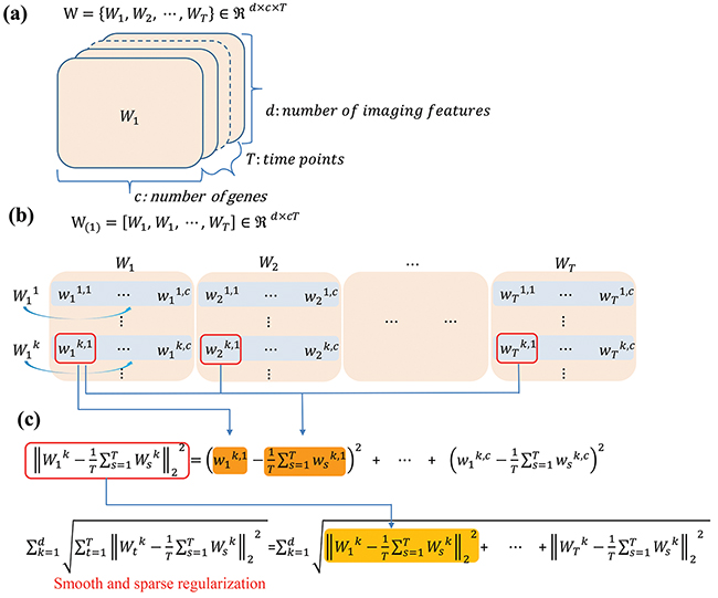 Schematic illustration of the regression coefficient matrix and regularization in longitudinal sparse regression model