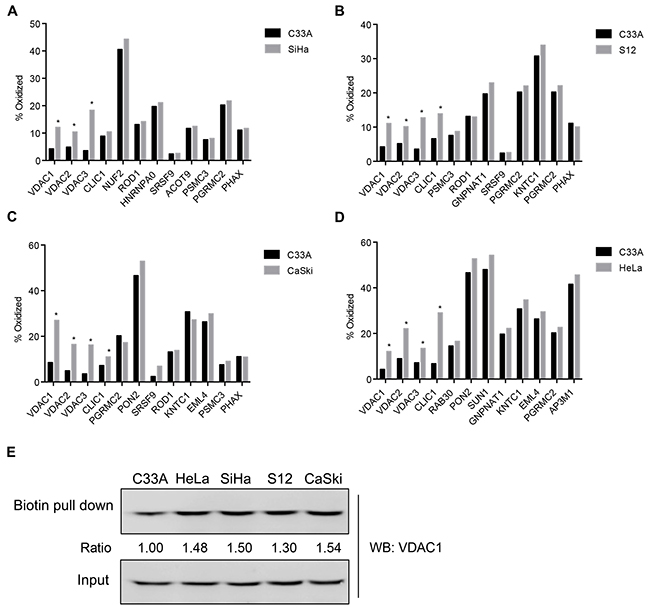 OxICAT screened out VDAC1, VDAC2 and VDAC3 in HPV-related cervical cancer cells.