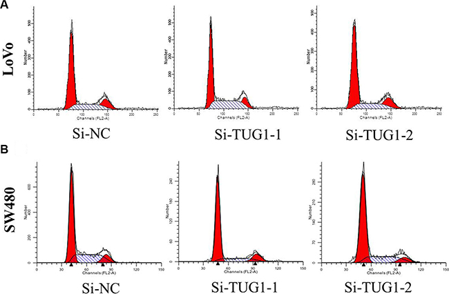 Figure 4: