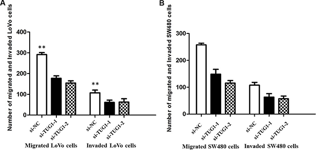 Figure 6: